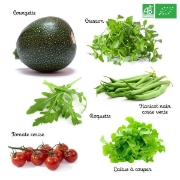 Image de KIT DE GRAINES Légumes Bio