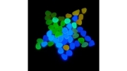 Image de Galets lumineux "Glow in the Dark", 50 pièces