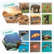 Image de Où habitent les animaux?