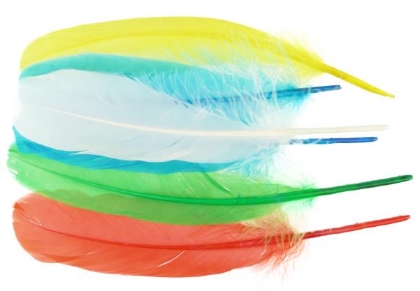 Image de la catégorie Plumes