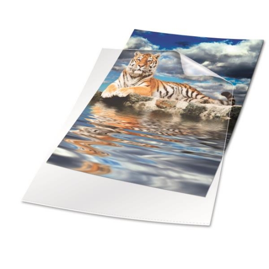 Image de Protège-documents A4 transparents et lisses, les 100