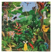 Image de Puzzle La Forêt Tropicale