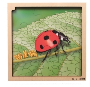 Image de Puzzle Le cycle de la vie de la coccinelle