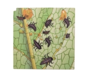 Image de Puzzle Le cycle de la vie de la coccinelle