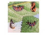 Image de Puzzle Le cycle de la vie de la coccinelle