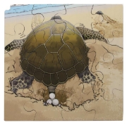 Image de Puzzle Le cycle de la vie de la tortue
