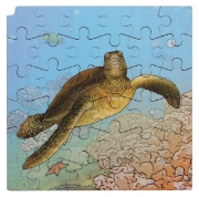 Image de Puzzle Le cycle de la vie de la tortue