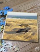 Image de Puzzle Le cycle de la vie de la tortue