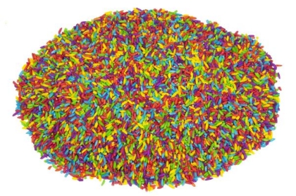 Image de la catégorie Les sens