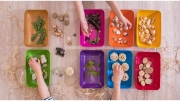 Image de Petits plateaux treeNside, les 6