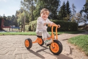 Image de Tricycle mini jusque 3 ans