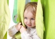 Image de Armoire Trapeze feuilles sens