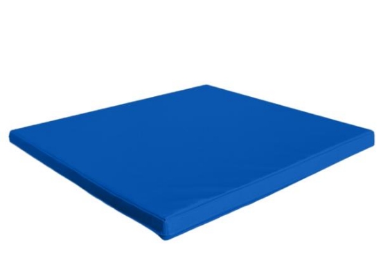 Image de Tapis à mettre sous le parc - Bleu