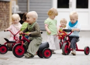 Image de Trotteur auto