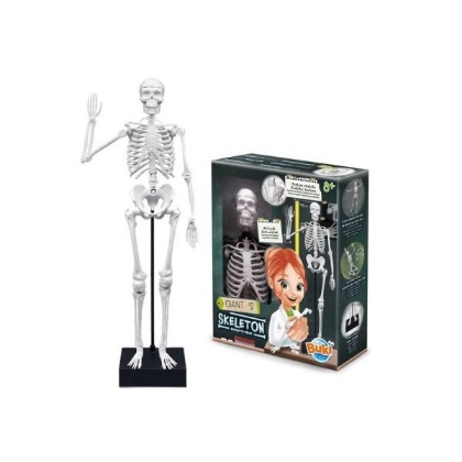 Image de la catégorie Le corps humain