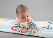 Image de Tapis de jeu XL, Koala daydream