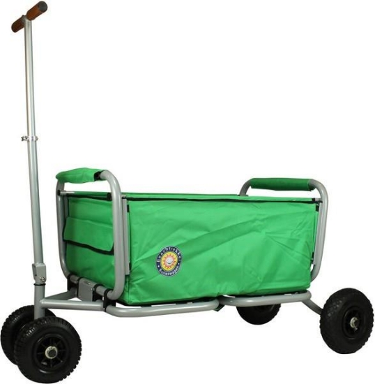 Image de Beachtrekker vert
