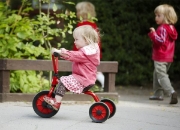 Image de Premier tricycle mini
