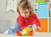 Image de Le poisson FINN