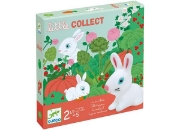 Image de Little collect
