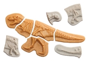 Image de Fossiles à découvrir Ankylosaurus & T-Rex – Yellow Door