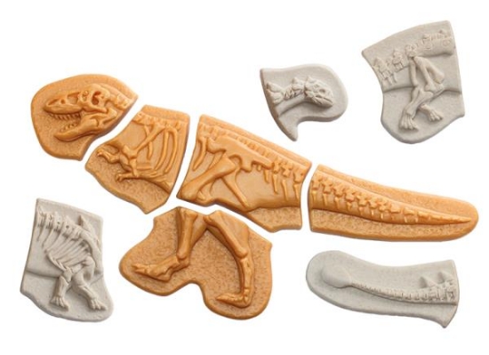 Image de Fossiles à découvrir Ankylosaurus & T-Rex – Yellow Door