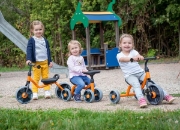 Image de Véhicule d’équilibre premier âge Little Driver