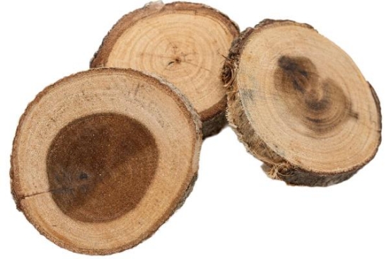 Image de Grands disques en bois, les 12
