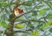 Image de Kamishibaï – La légende du sapin