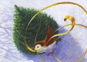 Image de Kamishibaï – La légende du sapin