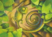 Image de Kamishibaï – Jao le caméléon