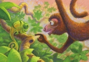 Image de Kamishibaï – Jao le caméléon
