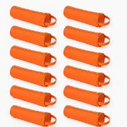 Image de Plumier orange, les 12
