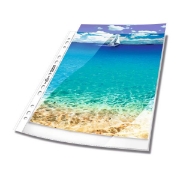 Image de Pochettes perforées transparentes PREMIUM A4 en PP, les 100