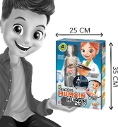 Image de Corps humain