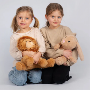 Image de Peluche lestée lion