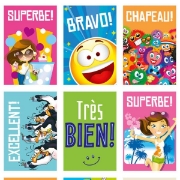 Image de Autocollants de motivation en français, les 720