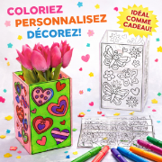 Image de Kit de 3 pots de fleurs Attrape Soleil