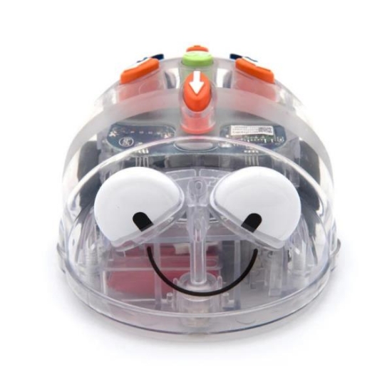 Image de Robot - Bee-Bot Programmable transparent