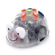 Image de Robot - Bee-Bot Programmable transparent