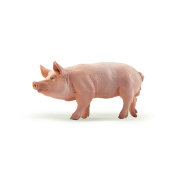 Image de Animaux de la ferme, les 12