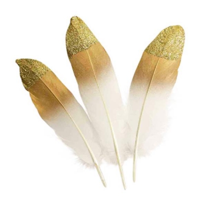 Image de la catégorie Plumes