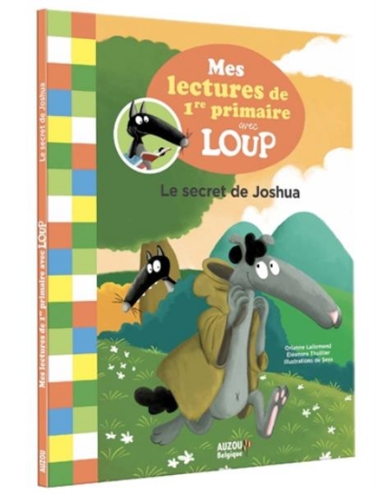 Image de Le secret de Joshua