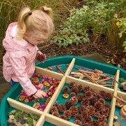 Image de Séparateurs de tri en bois pour Tuff Tray