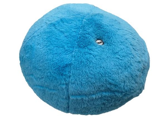 Image de Coussin de massage vibrant bleu