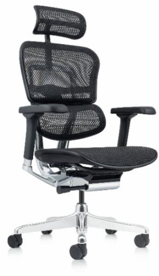 Image de Fauteuil ergonomique Ergohuman Elite en résille noire
