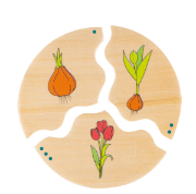 Image de Puzzle Cycles d'évolution