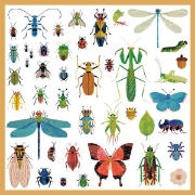 Image de Gommettes thématiques métallisées – microcosmos, pochette de 160