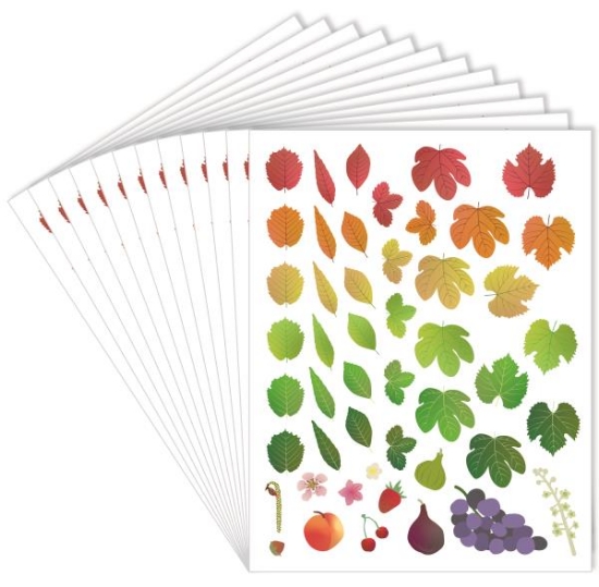 Image de Gommettes les 4 saisons, pack de 576