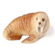 Image de Les animaux de la mer, lot de 8